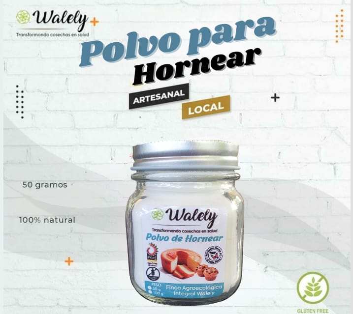 Producto 9